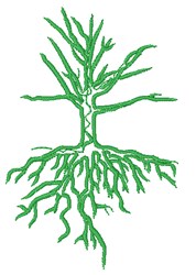 Tree With Roots Embroidery Design | EmbroideryDesigns.com
