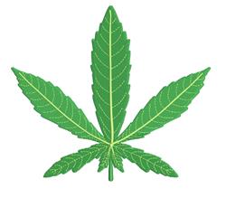beginner-friendly leaf machine embroidery pattern - Cannabis Leaf for kitchen tea towels