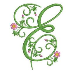 Spring E