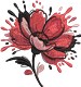 Bold Floral Splash Modern