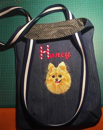 Pomeranian Dog