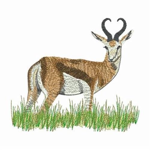 gazelles clipart school