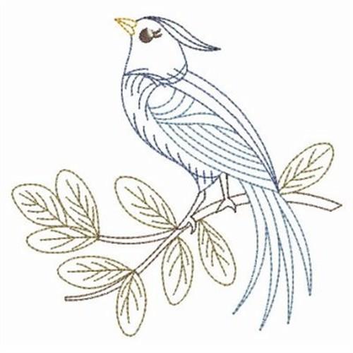 Bluejay Outline Embroidery Design