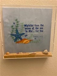 Starfish & Shell