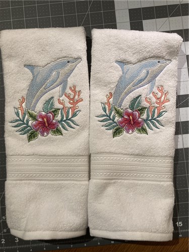 Tropical Dolphin