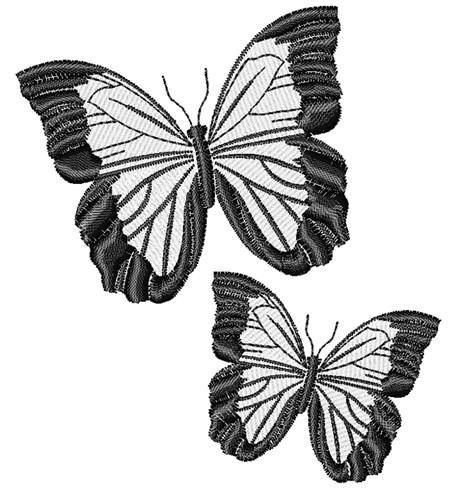 Black & White Butterflies