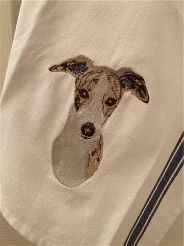 Whippet