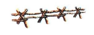 Rail Fence