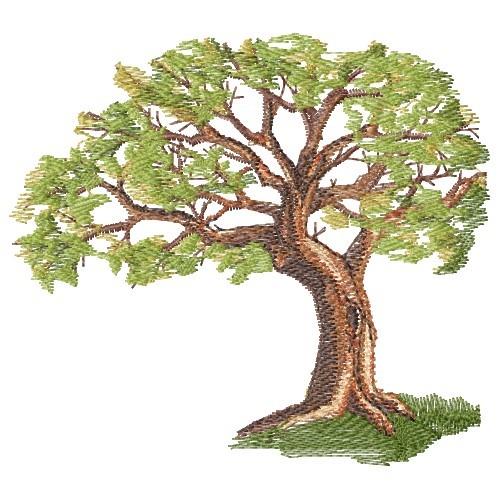 oak tree design