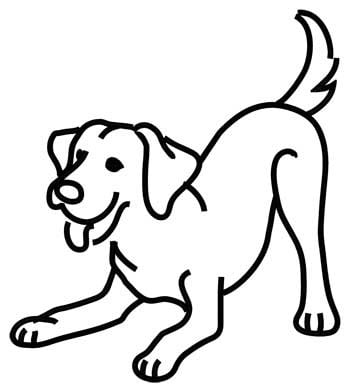 labrador retriever outline