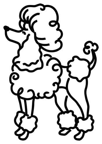 poodle drawing outline