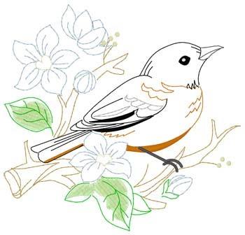 Oriole Embroidery Design