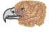 EAGLE HEAD