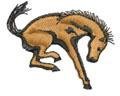 BRONCO