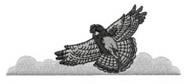 Grouse