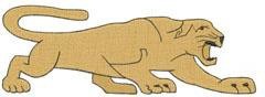 COUGAR NO.8
