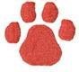 PAW PRINT