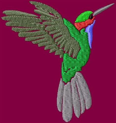 Hummingbird Embroidery Design