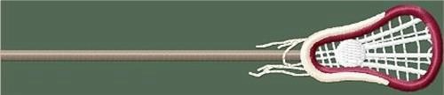 Lacrosse Stick