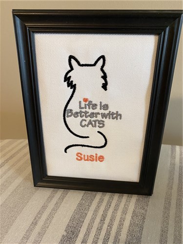 Life with Cats