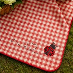 Ladybug