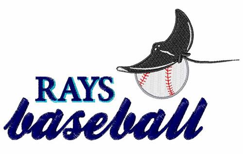 Custom Tampa Bay Rays Baseball Schedule Magnets, Free Samples