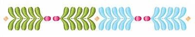 Decorative Border