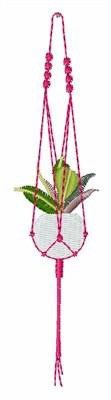 Hanging Plant