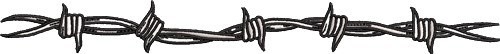 Barbed Wire Fence
