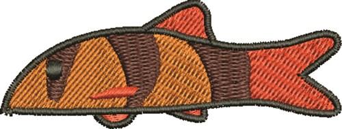 Fish Fish