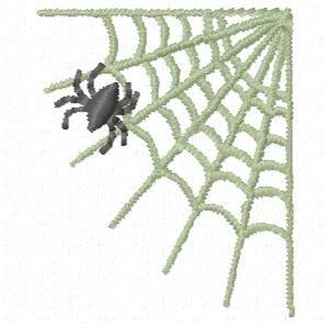 Spider Web Spider Web