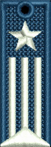 FSL American Flag