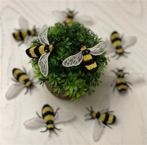 FSL Bee