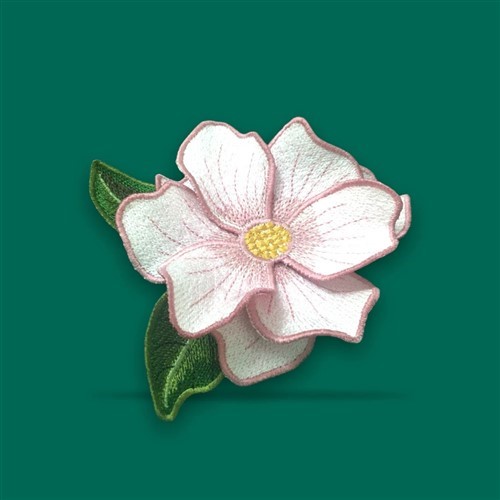 FSL Magnolia