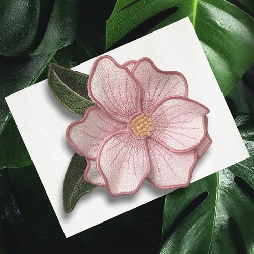 FSL Magnolia