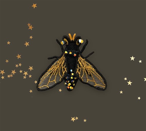 FSL Bug