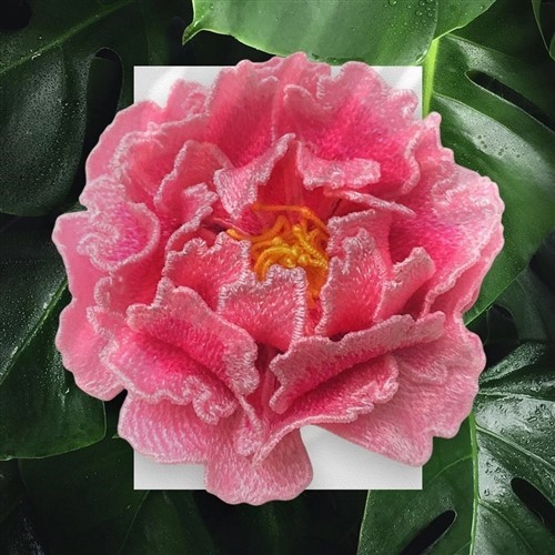 FSL Peony