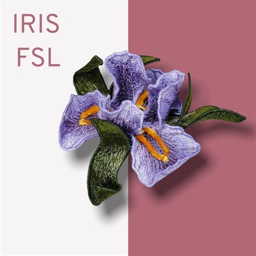 FSL Iris