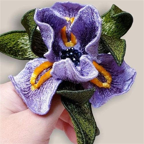 FSL Iris
