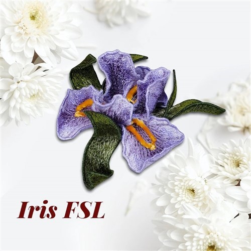 FSL Iris