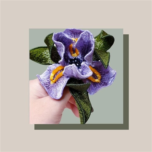 FSL Iris