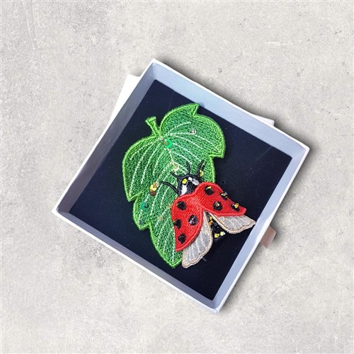 FSL Ladybug