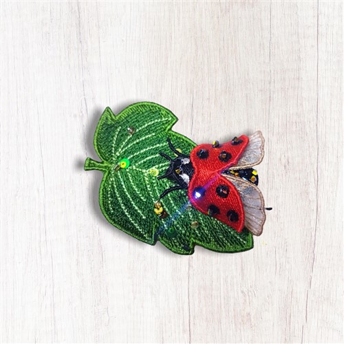 FSL Ladybug