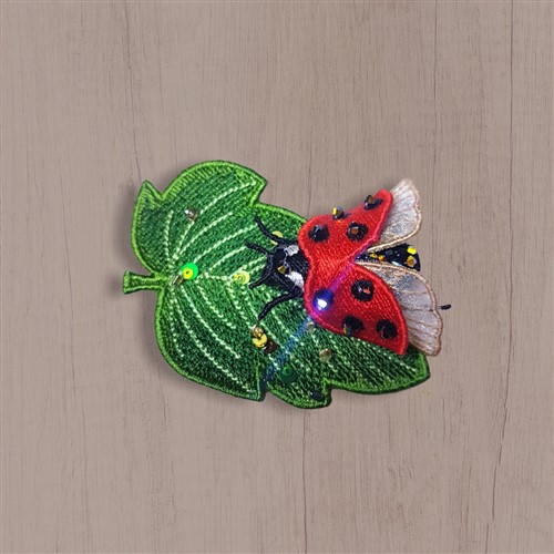 FSL Ladybug