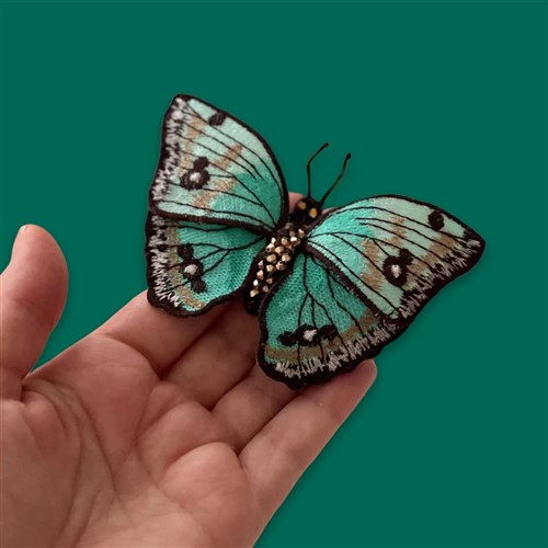 FSL Butterfly