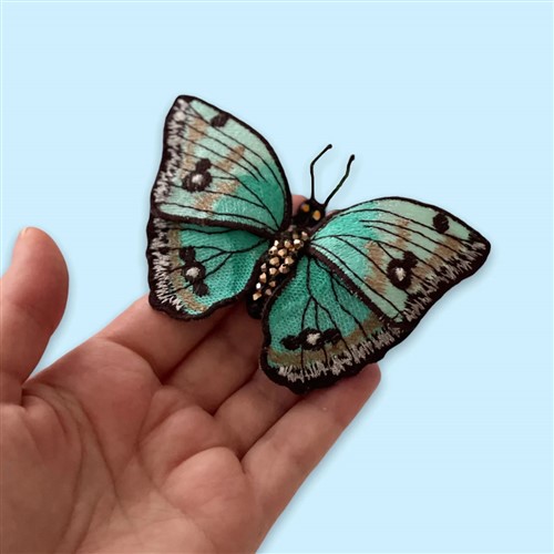 FSL Butterfly