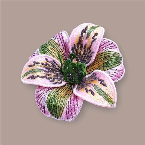 FSL Alstroemeria