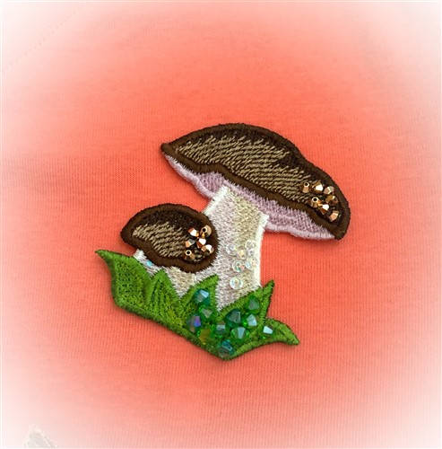 FSL Mushroom
