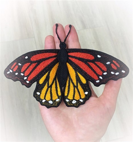FSL Butterfly