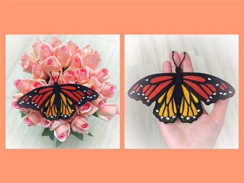 FSL Butterfly